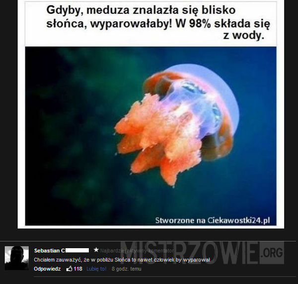Meduza –  