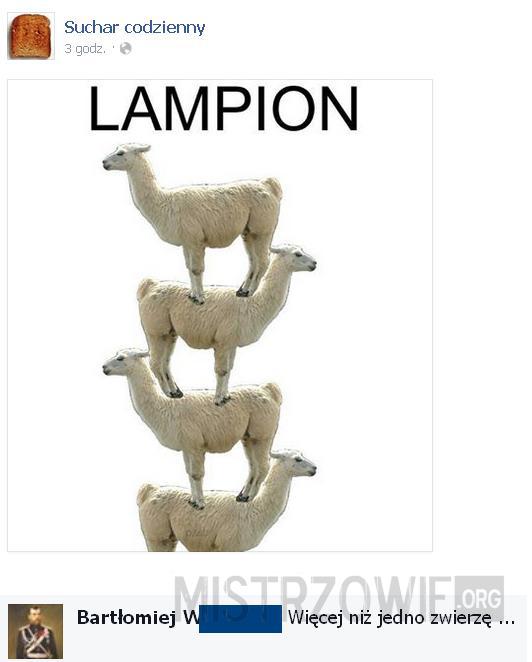 Lampion –  