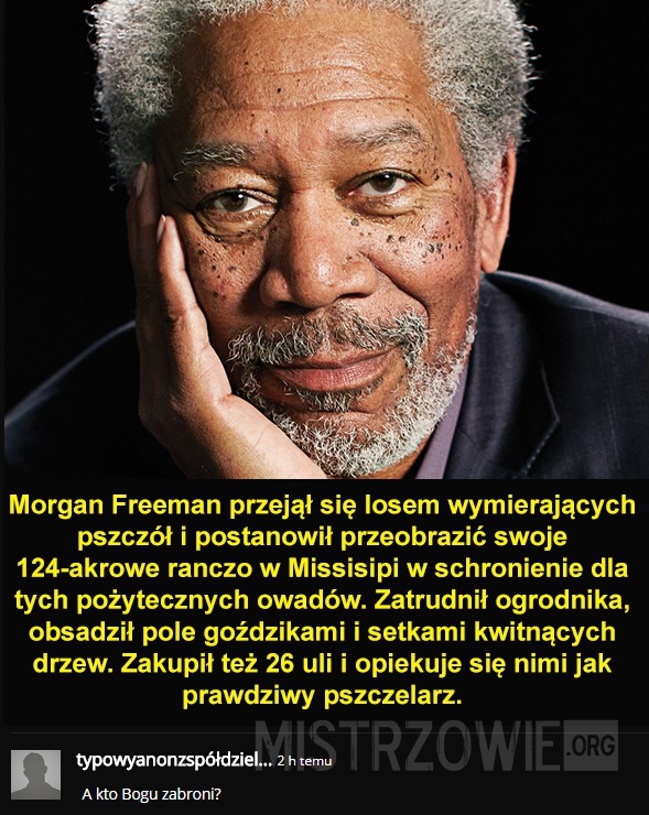 Morgan Freeman –  