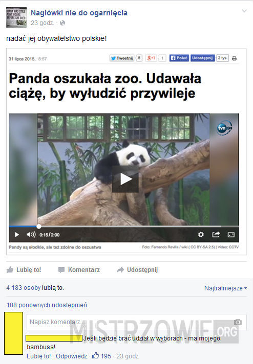 Panda oszustka –  