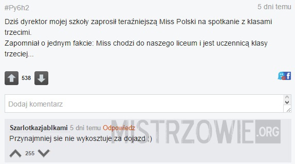 Miss Polski –  