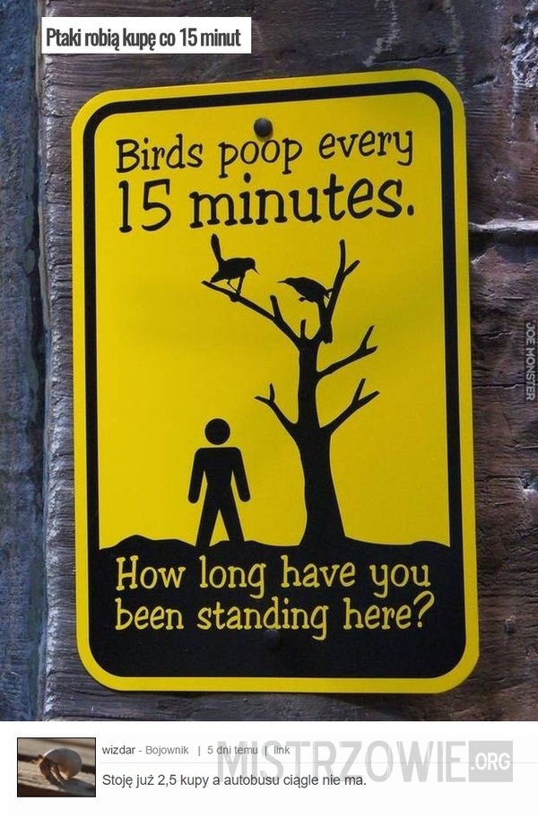 Ptaki robią kupę co 15 minut –  
