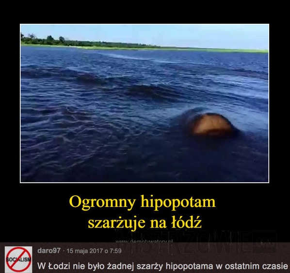 Ogromny hipopotam –  