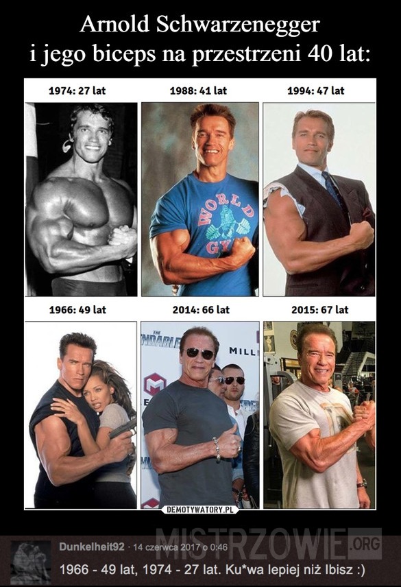 Schwarzenegger –  