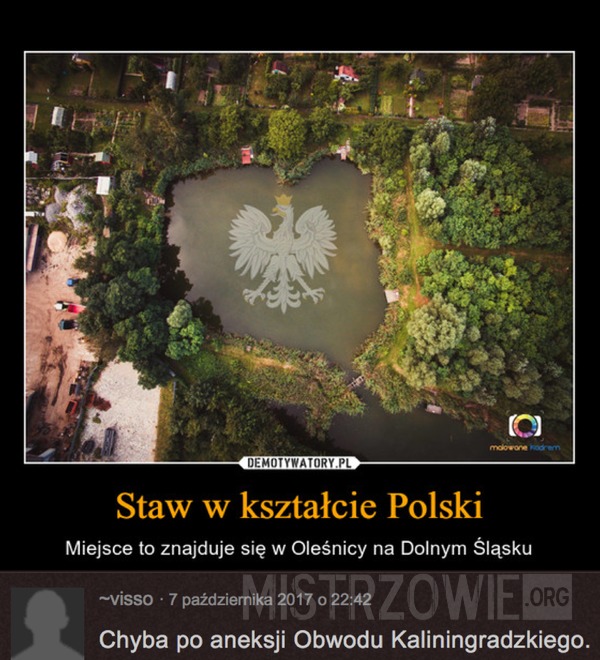 Staw w kształcie Polski –  