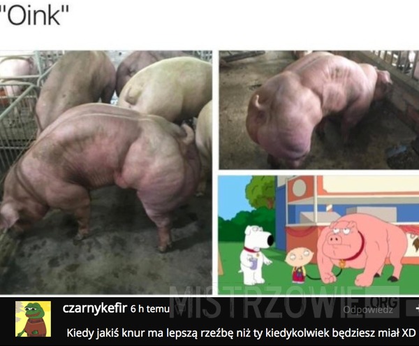 Oink –  