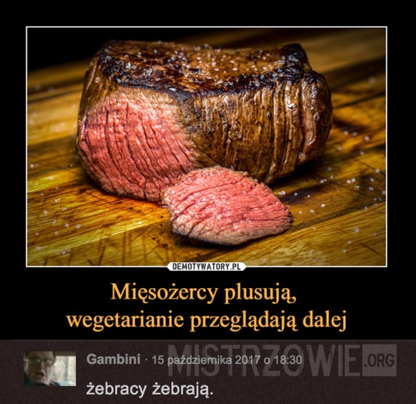 Mięsożercy i wegetarianie –  