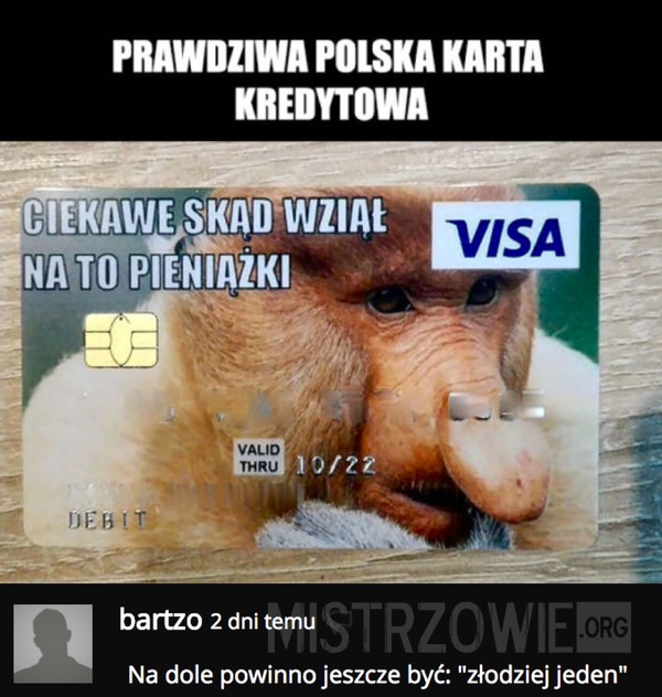 Prawdziwa polska karta kredytowa –  