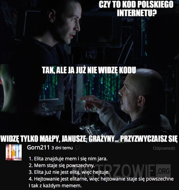 Kod polskiego internetu –  