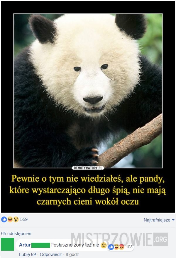 Pandy –  