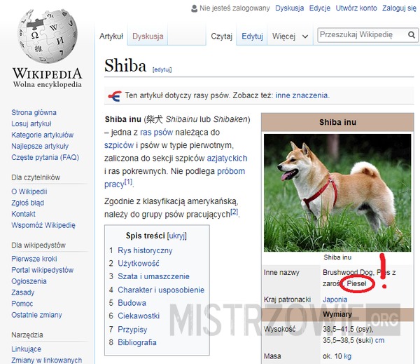 Doge na Wikipedii –  