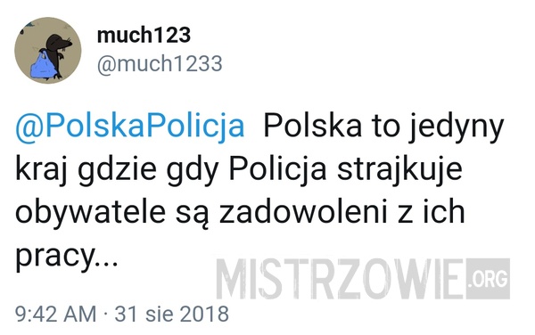 Polska Policja –  