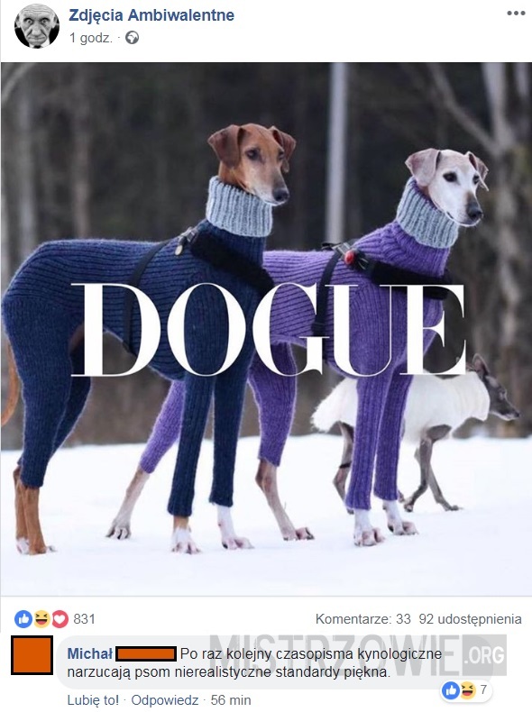 Dogue –  
