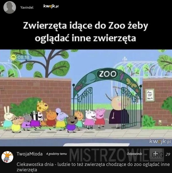 Zwierzęta idące do zoo –  