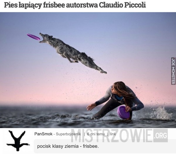 Pies łapiący frisbee autorstwa Claudio Piccoli –  