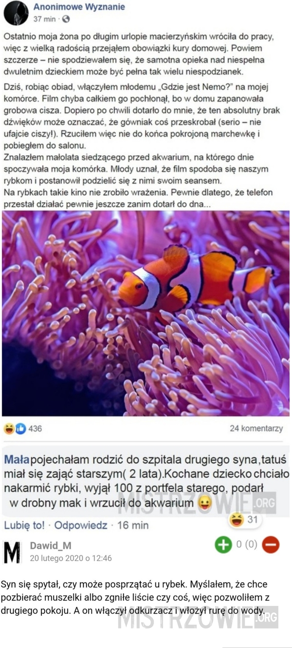 Nemo 2 –  