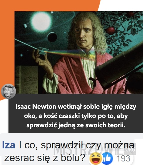 Newton –  
