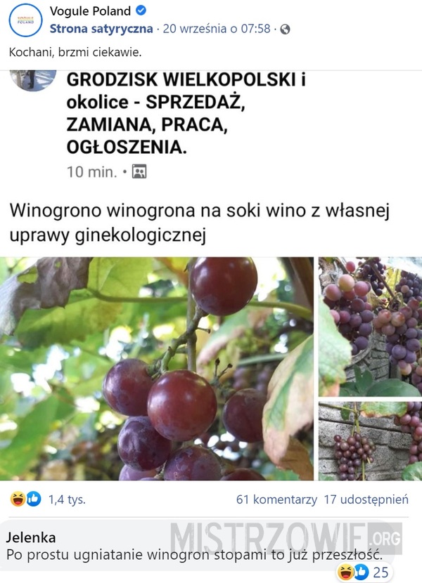 Winogorno –  
