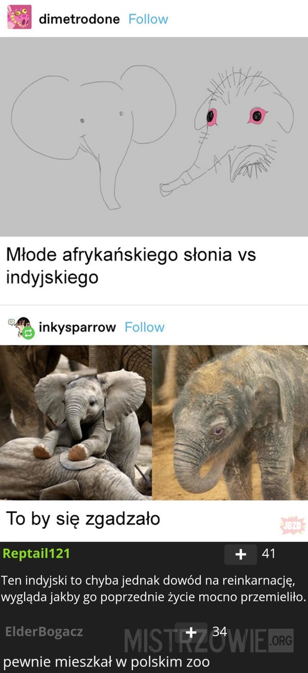 Słoń –  