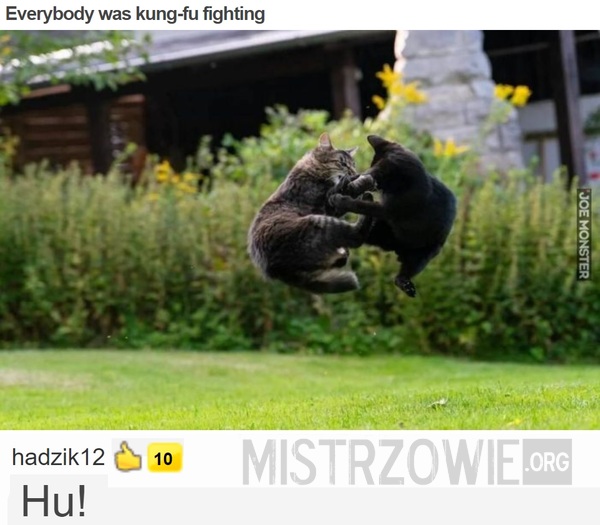 Everybody was kung-fu fighting –  