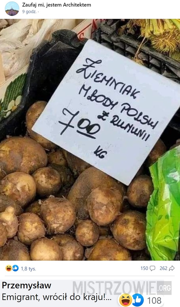 Ziemniaki –  