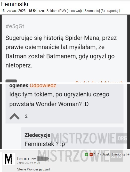 Wonder Woman –  