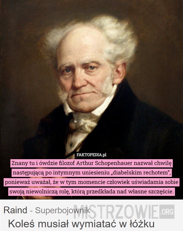Schopenhauer –  