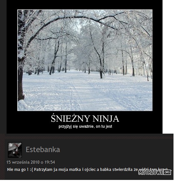Snieżny ninja –  