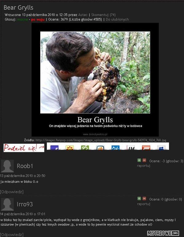 Bear Grylls –  