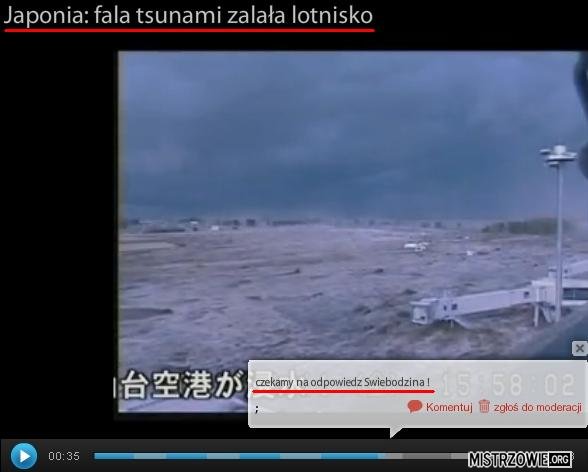 Tsunami w Japonii –  