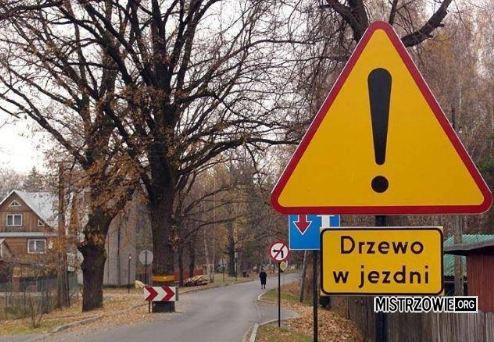 Już mnie nic na polskich drogach nie zdziwi –  