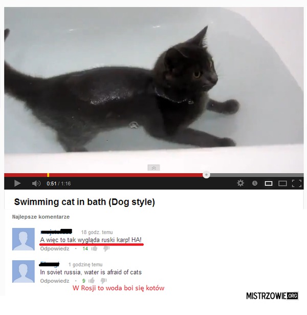 Rosyjski kot w wannie –  