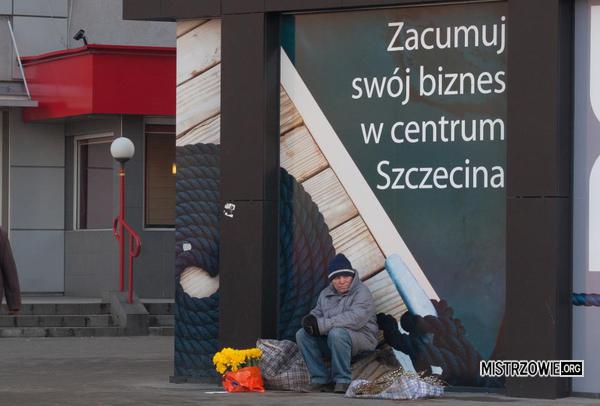 Zacumuj swój biznes w centrum Szczecina –  