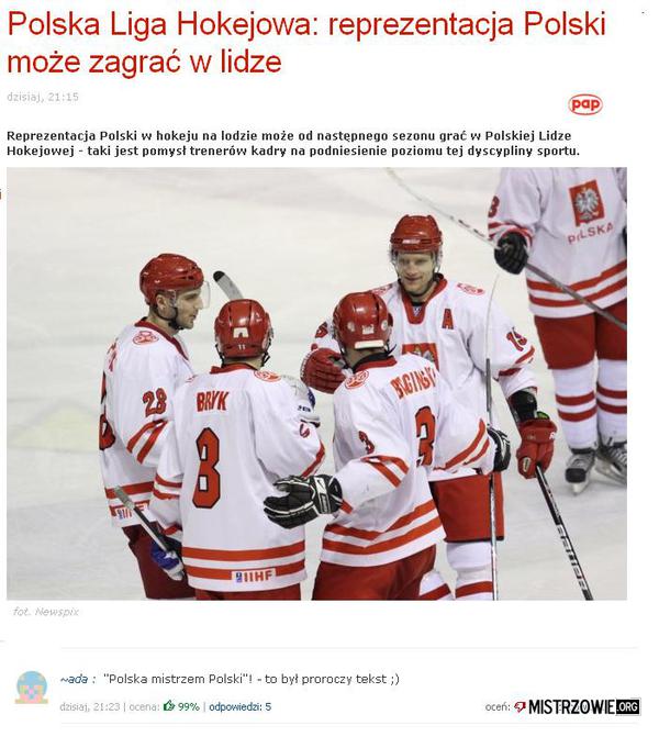 Polska Liga Hokejowa –  