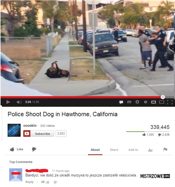 Californijska policja strzela do psa –  