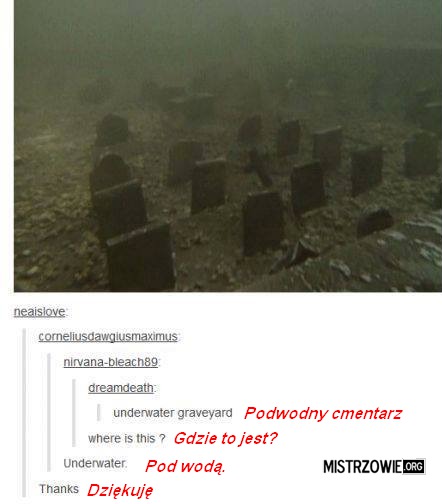 Podwodny cmentarz –  