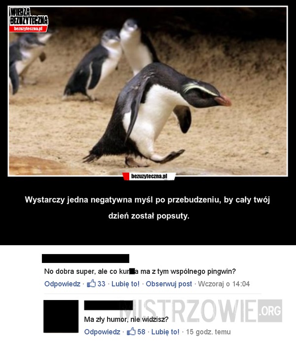 Wkur**ony pingwin –  