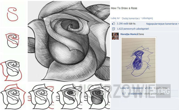 How to draw a rose –  