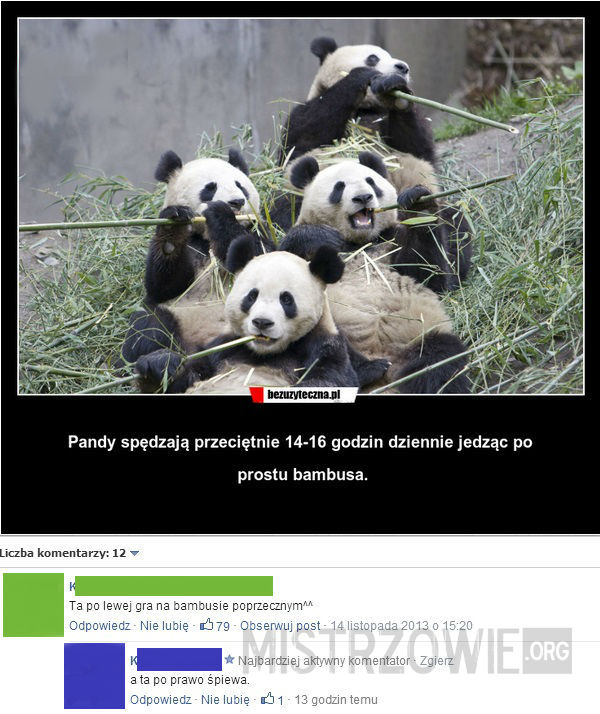 Pandy –  