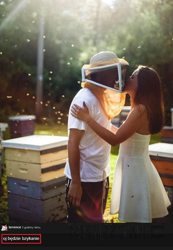 Pszczółki –  