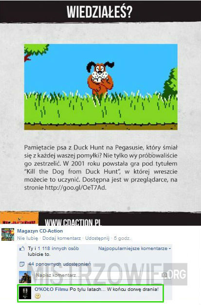 Duck Hunt –  
