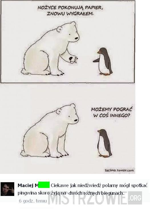 Niedźwiedź polarny i pingwin –  