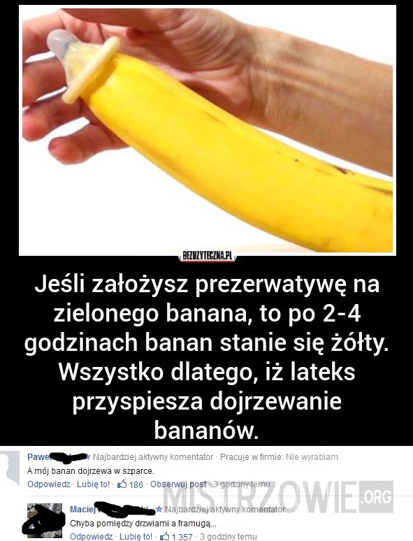 Banan –  