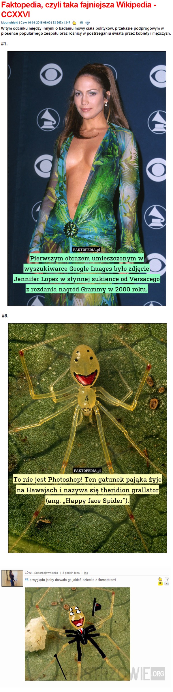 Happy face spider –  