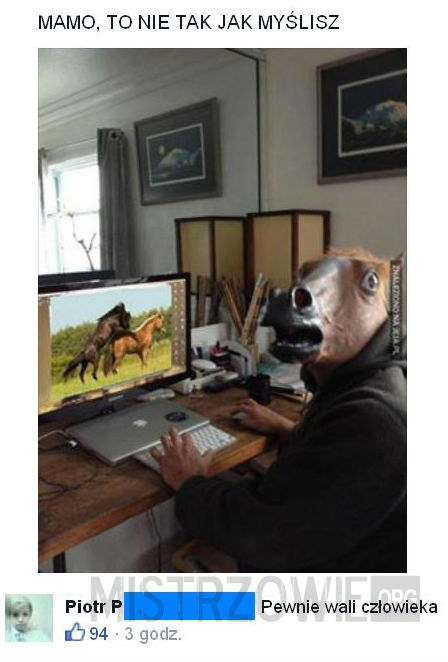 Koń przy komputerze –  
