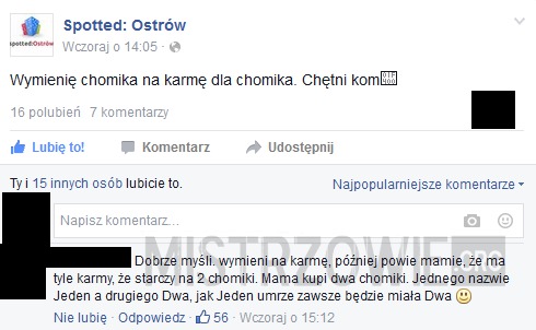 Spotted: Ostrów –  
