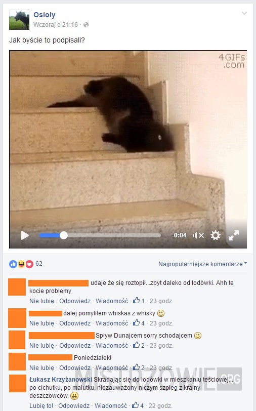 Kot używający schodów niezgodnie z przeznaczeniem –  