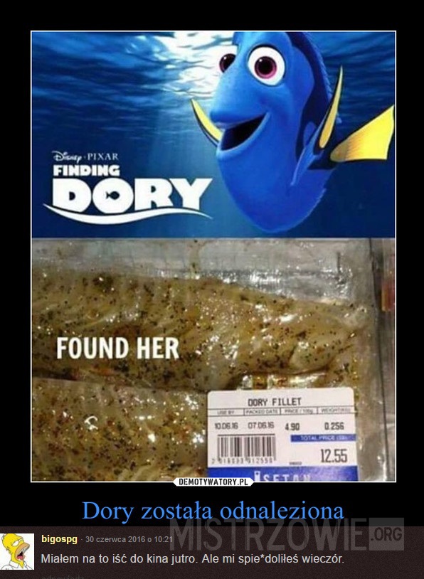 Dory została odnaleziona –  
