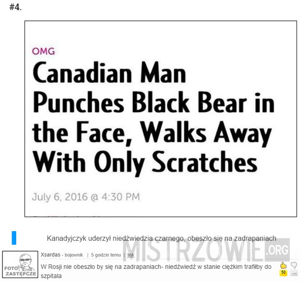 Mężczyzna uderzył niedźwiedzia –  