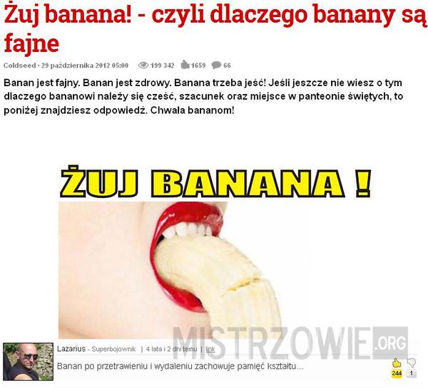 Żuj banana! - czyli dlaczego banany są fajne –  
